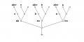 Majority Function 6 x 3 Frame 4.png