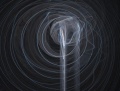 Apophysis-090510-26 by Wikademia.JPG