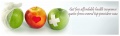 Affordable-Health-Care-Insurance.jpg