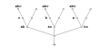 Majority Function 6 x 3 Frame 5.png
