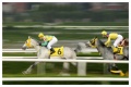 Watch-kentucky-derby-2011-online.jpg