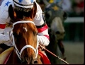 PreaknessStakes.jpg