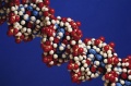 Peptide-synthesis.jpg