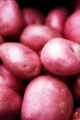 Red Potatoes.JPG