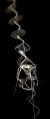 Apophysis 090508 by Wikademia.jpg