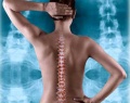Chiropractictraining.jpg
