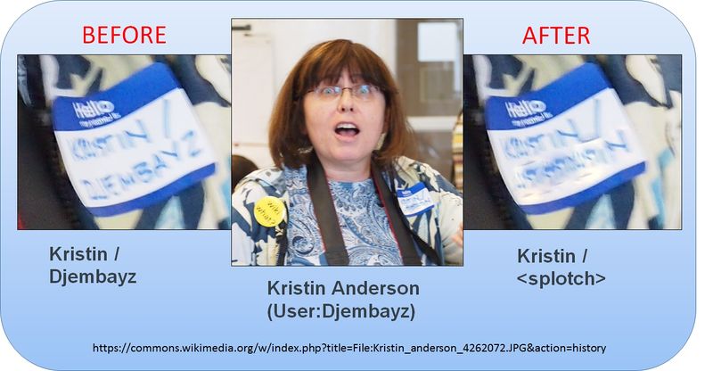 File:Kristin Anderson and the attempt to hide identity.jpg